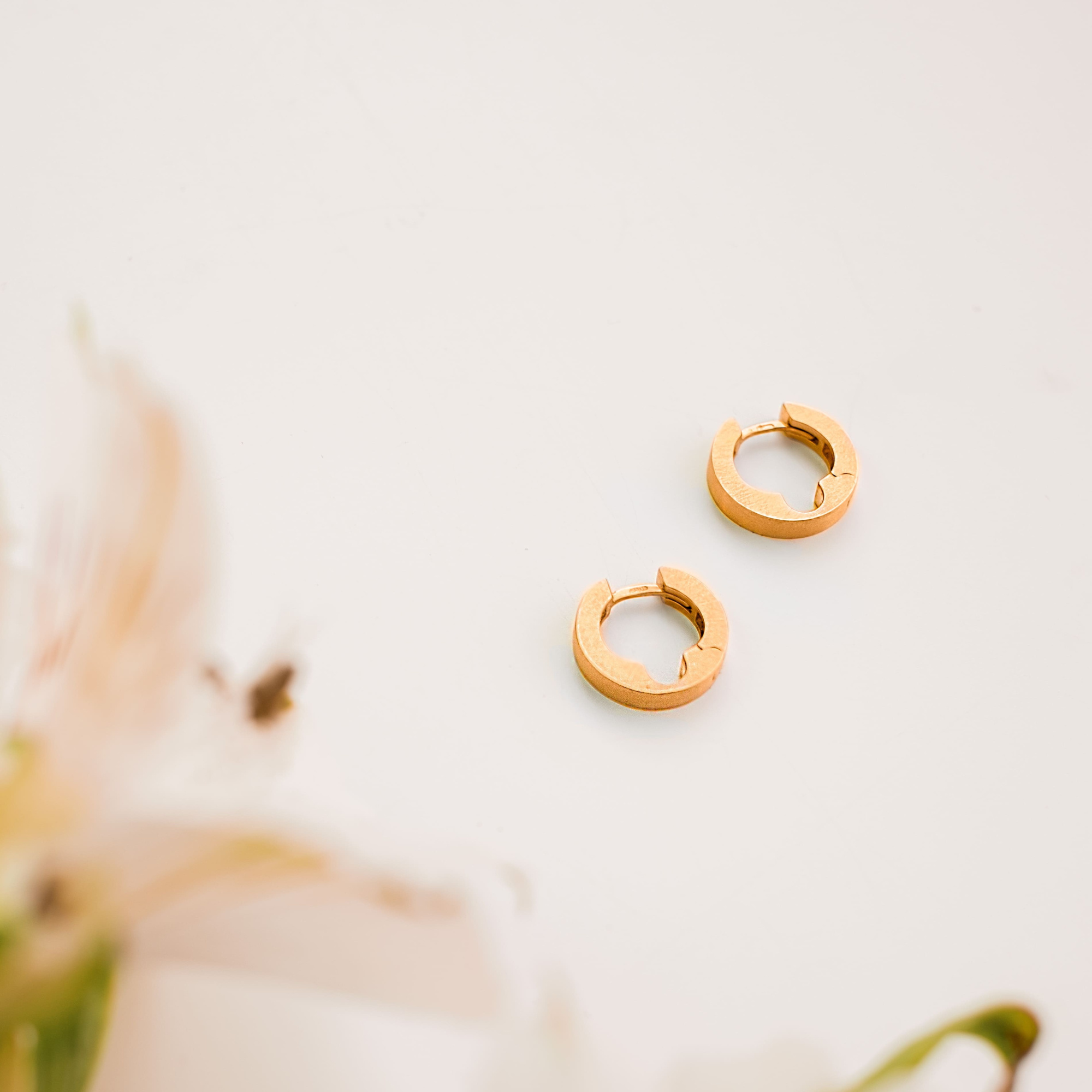 EKATERINA TOLSTAYA Серьги Замочки Сатин, позолота