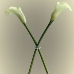 INFANTA Кольцо Nodo двойной узелок