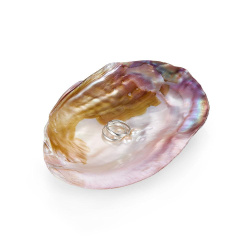 URBAN ISLAND морская раковина для хранения украшений