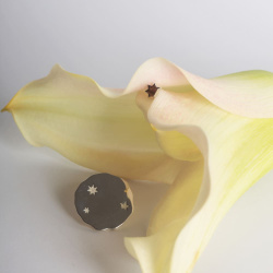 URBAN ISLAND пусет Juno Little Star (Mythology)